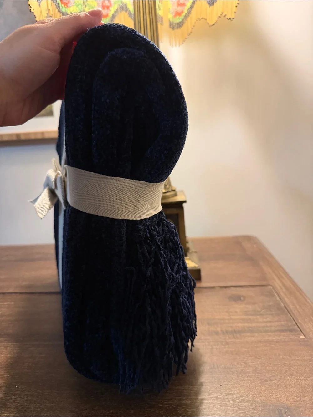Pier 1 Navy Chenille Throw with Fringe